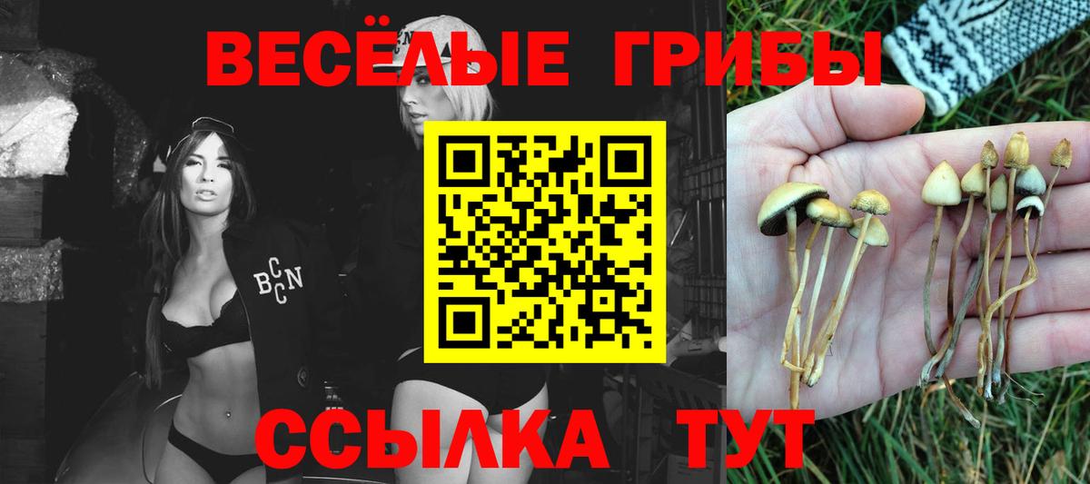 Галлюциногенные грибы ЛСД  Вход с VPN  Псилоцибиновые грибы MAGIC MUSHROOMS  Вязьма 