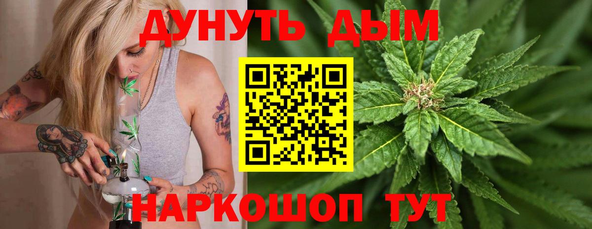 Бошки Шишки семена  Вход с VPN  Бошки Шишки MAZAR  Бошки Шишки THC 21%  Вязьма  Марихуана ГИДРОПОН 